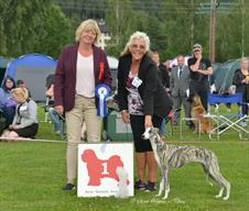 Wiola Best In Group (pup) Judge:Ann Christin Johansson